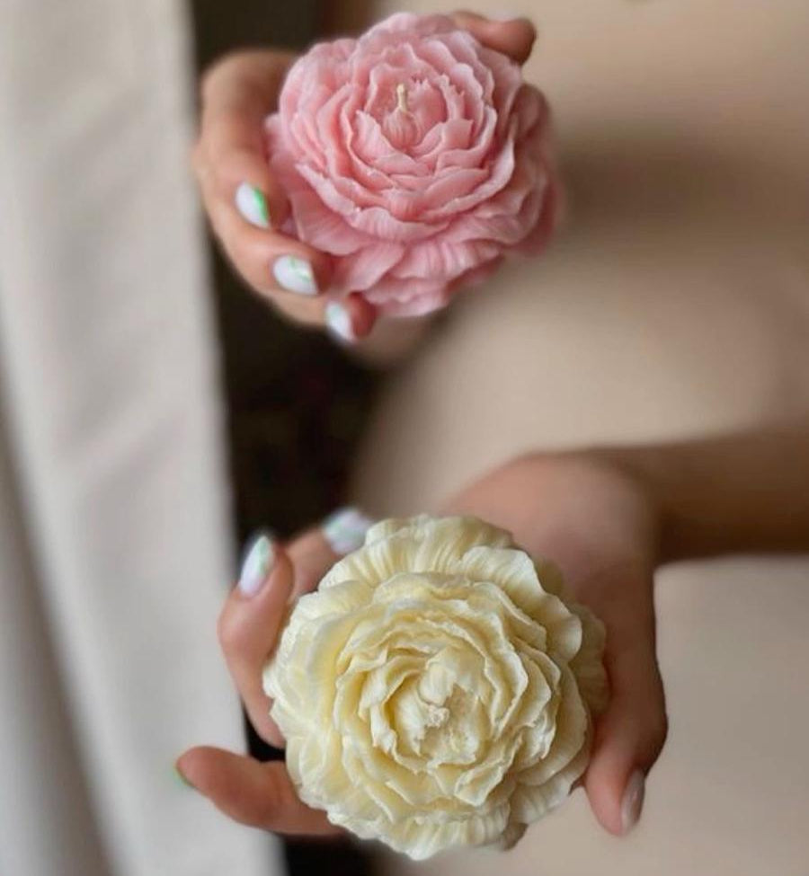 Rosa